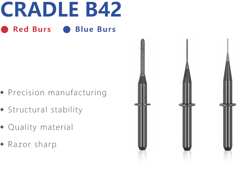 CRADLE B42