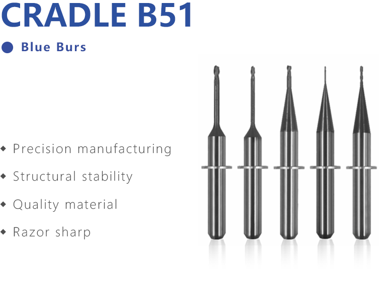 CRADLE B51